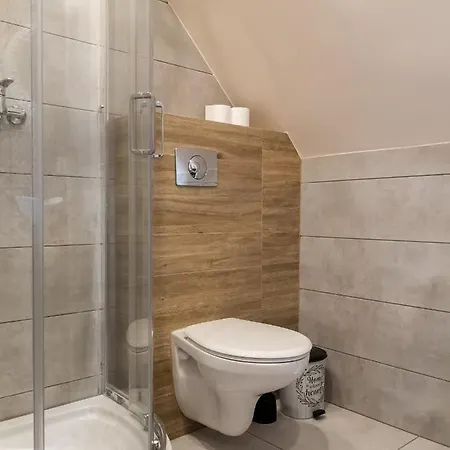 Apartamenty Pod Lipa Lutowiska Exterior photo
