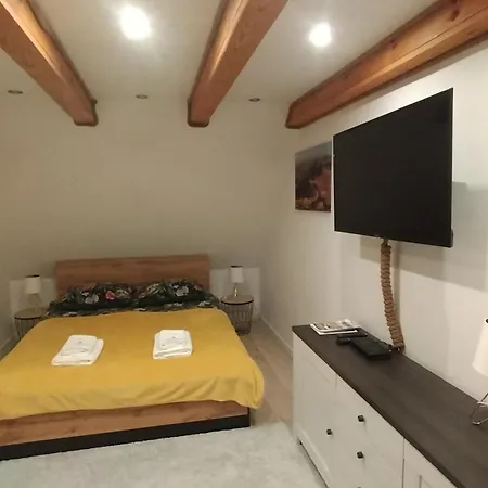 Apartamenty Pod Lipa Lutowiska Room photo